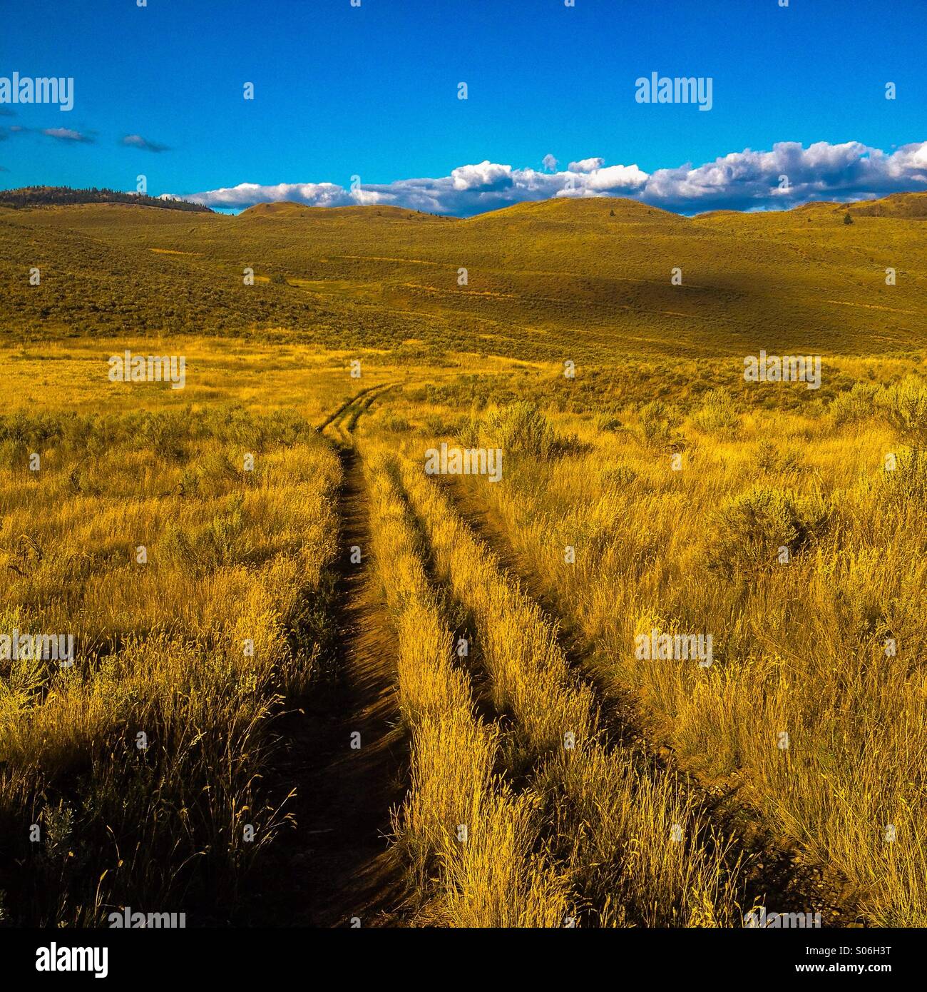 Off-road trail under the late summer sky. - Smartphone Captured Stock Image