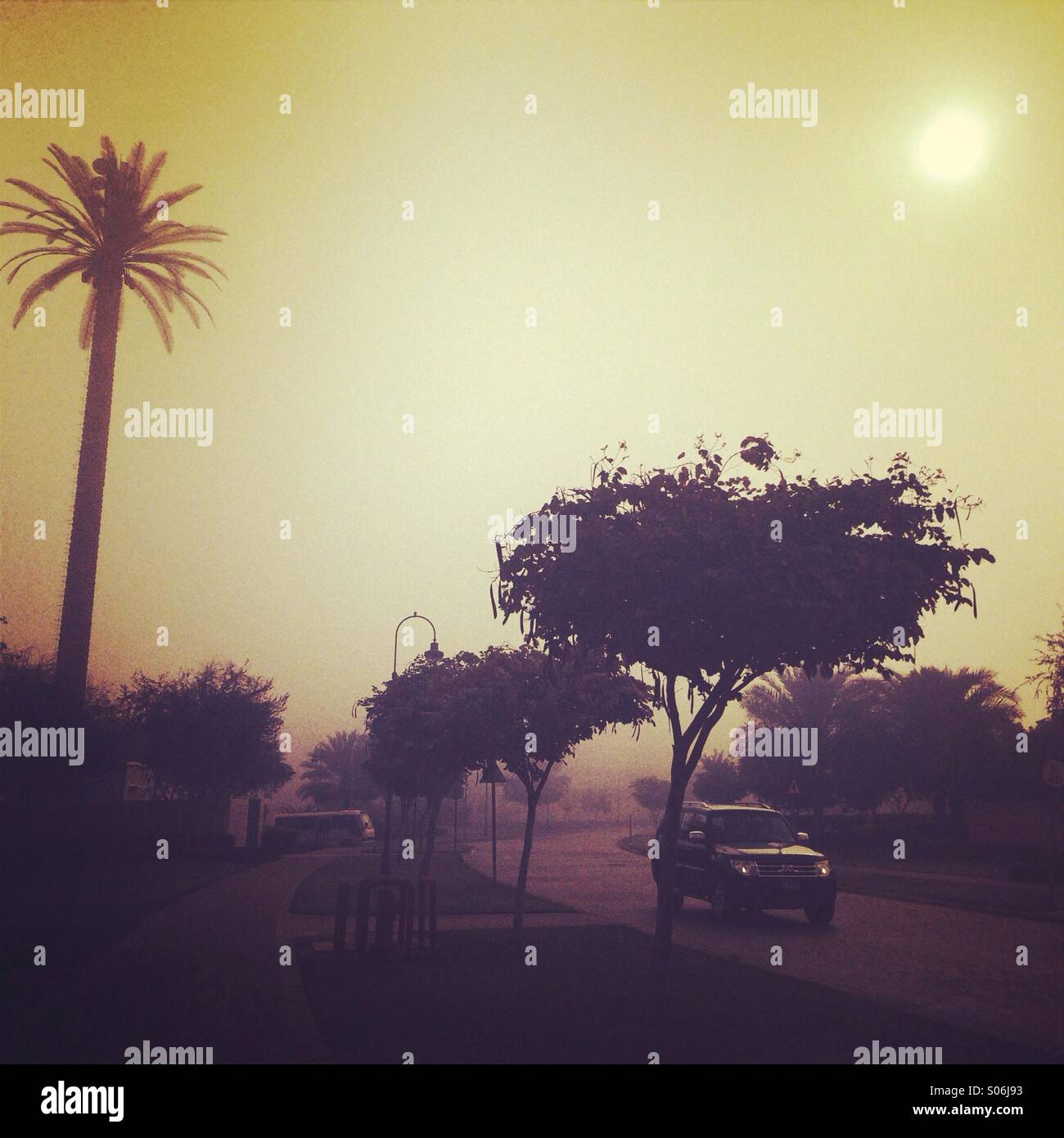 Yellow fog light hi-res stock photography and images - Alamy