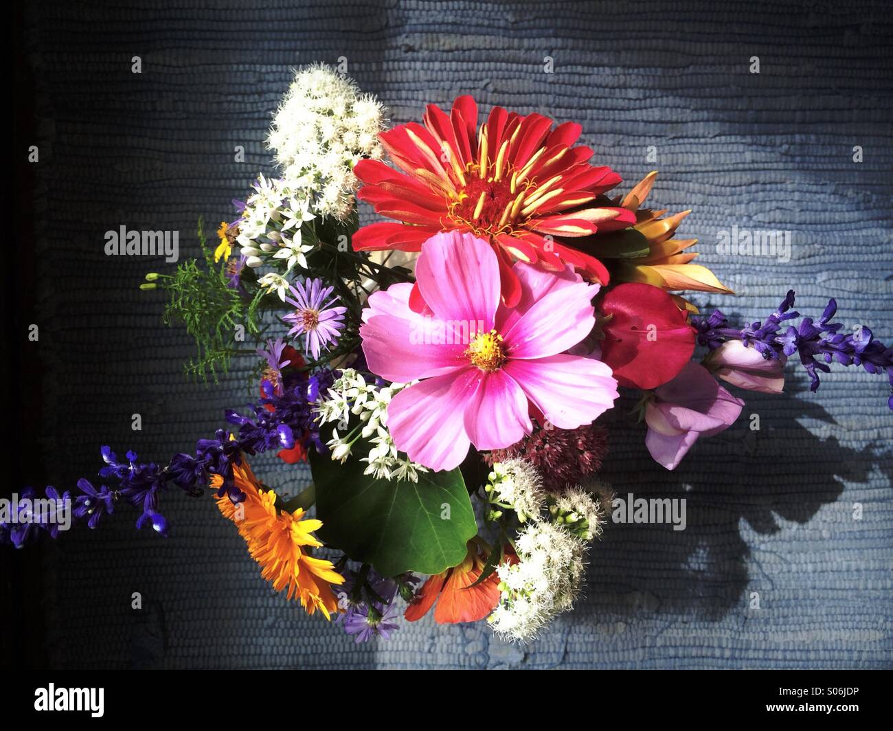 Late summer bouquet of cosmos, zinnia, dahlia, calendula, asters, marigolds, garlic chives, sweet pea, Victoria salvia, sedum and nasturtium gathered in a garden in New Jersey. - Smartphone Captured Stock Image