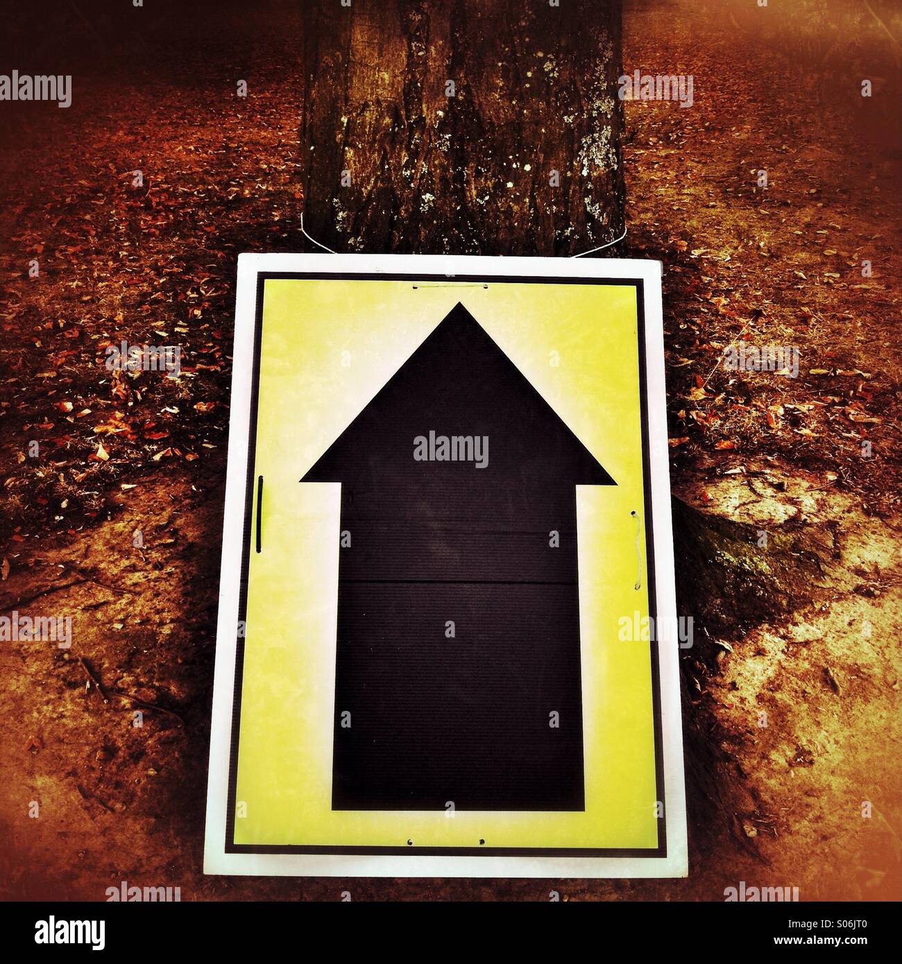 Black arrow on yellow background tied to tree - Smartphone Captured Stock Image