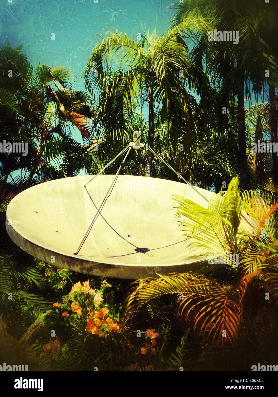 A satellite dish in tropical Australia. - Smartphone Captured Stock Image