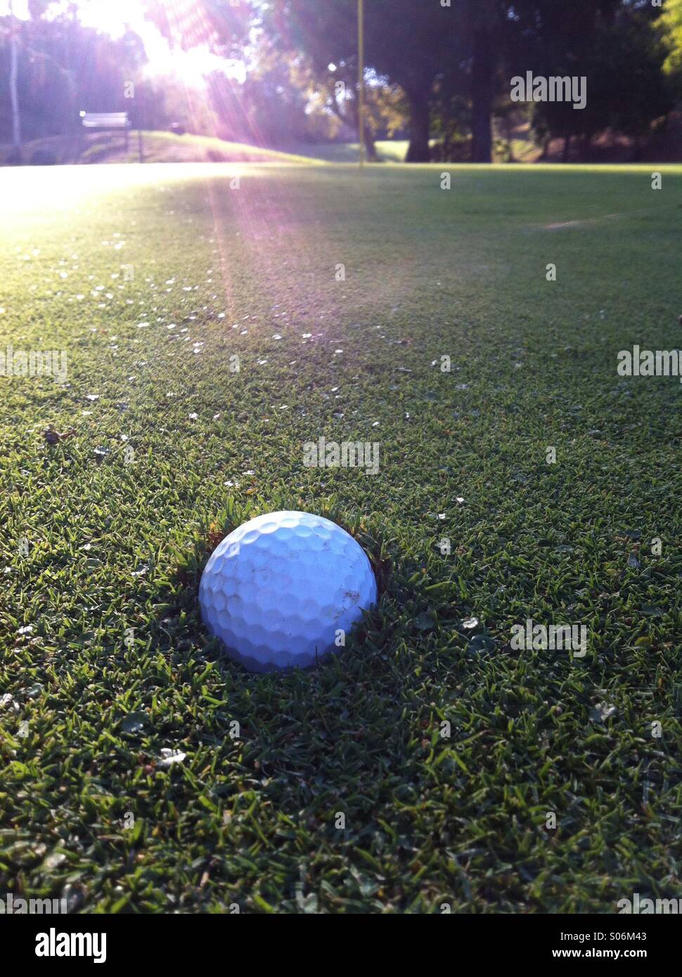 Golf ball buried on green Stock Photo Alamy