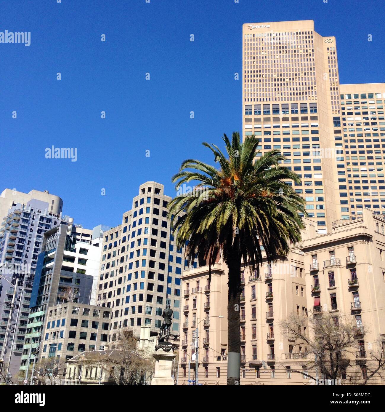Melbourne city skyline with Palm tree on sunny day Stock Photo