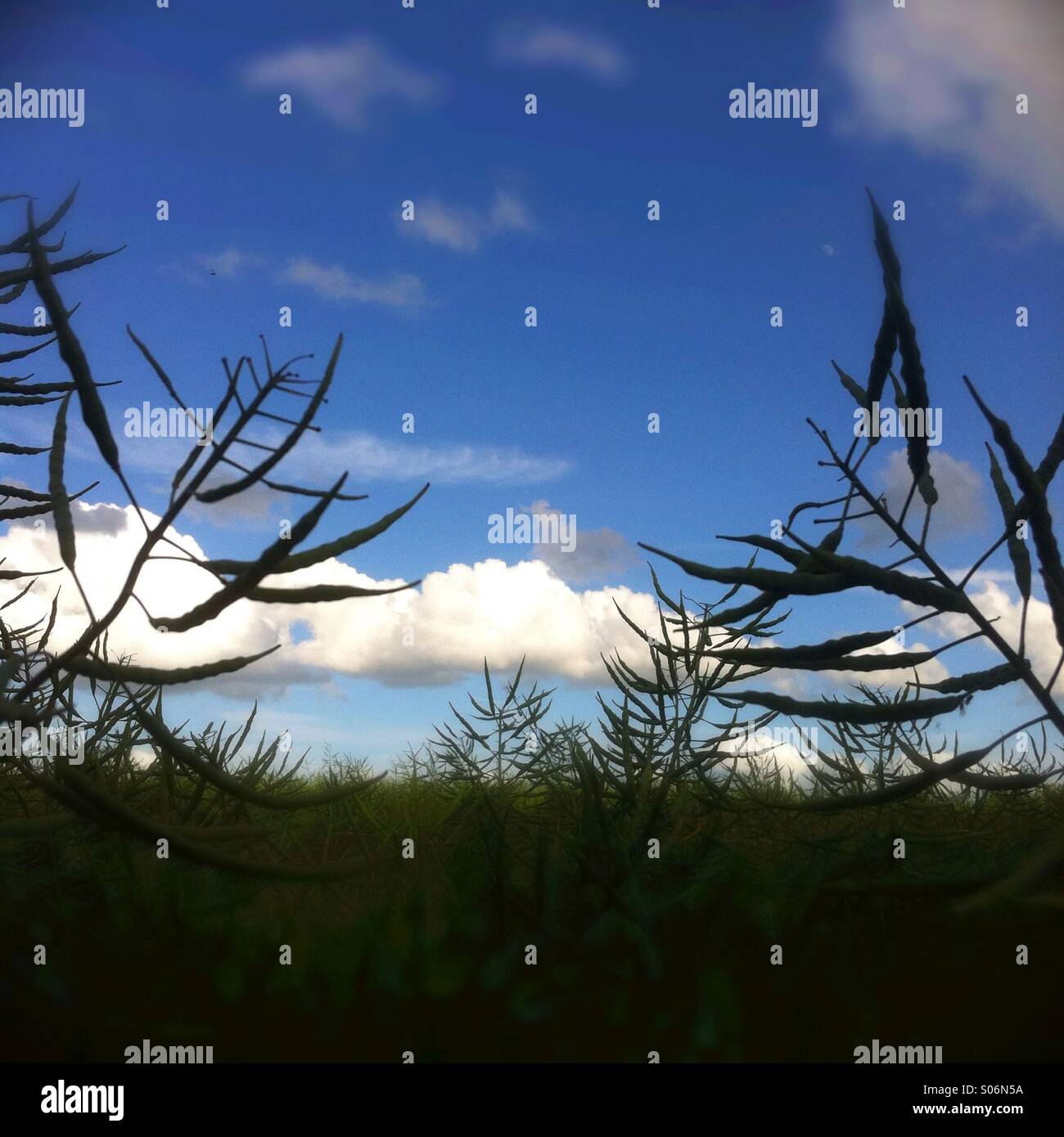 Sky - Smartphone Captured Stock Image