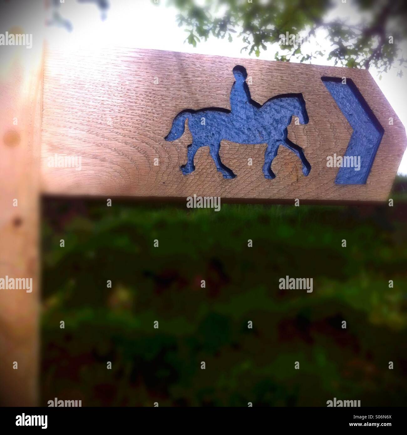 Bridle way - Smartphone Captured Stock Image