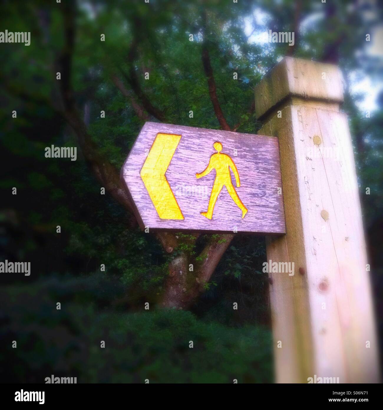 Footpath - Smartphone Captured Stock Image