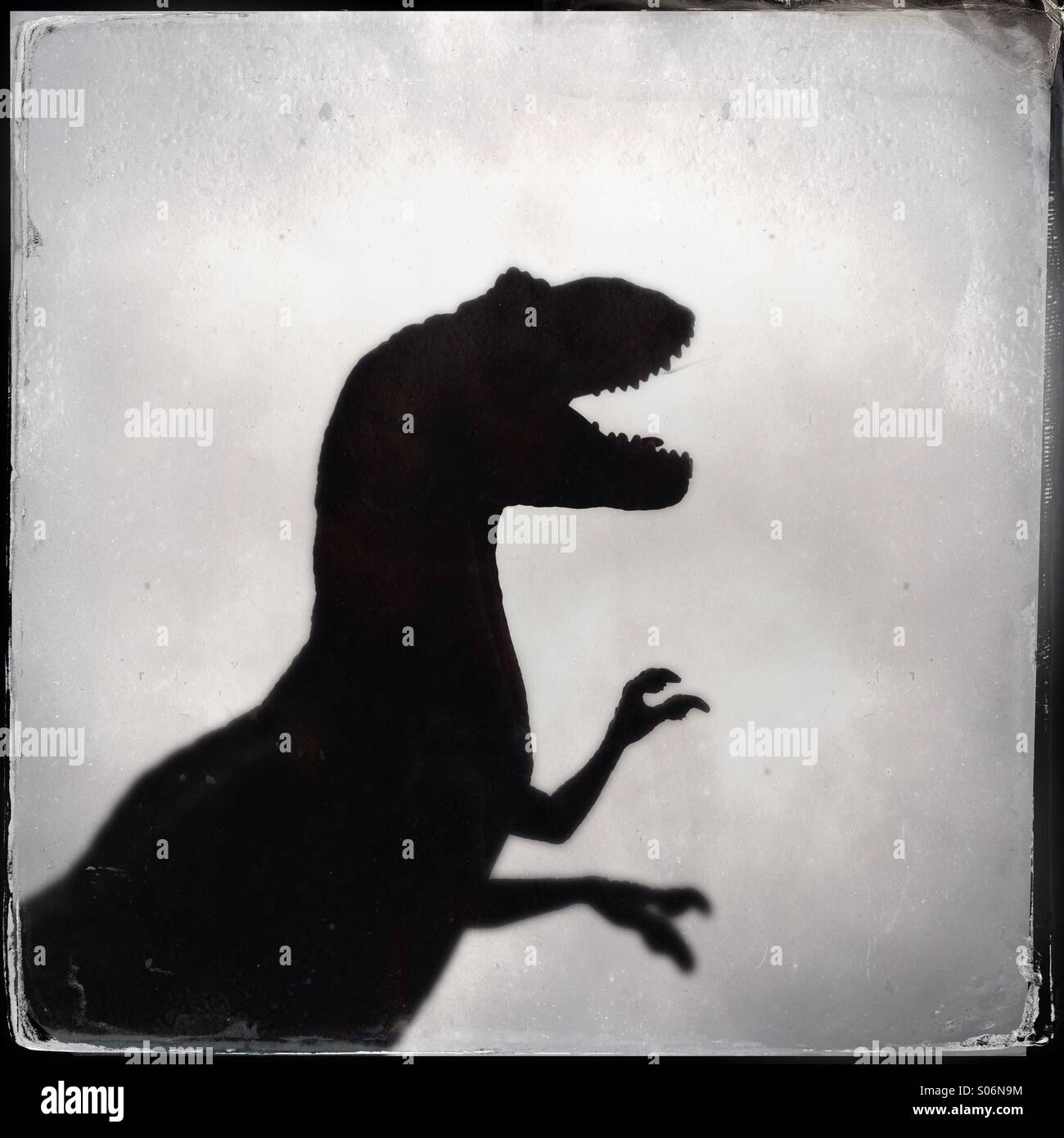 Silhouette of a  toy dinosaur - Smartphone Captured Stock Image