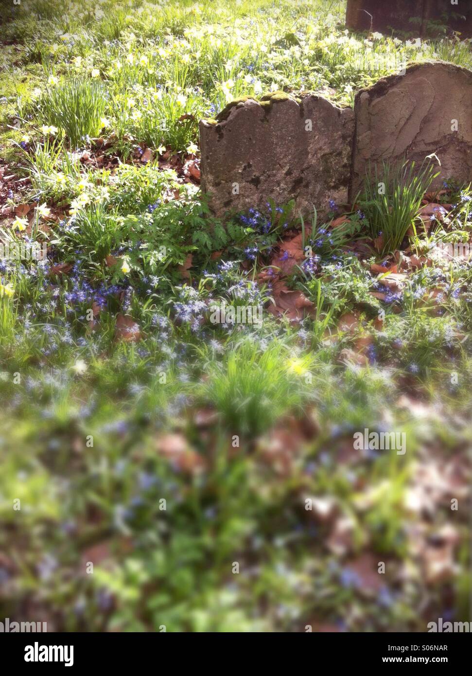 Graveyard - Smartphone Captured Stock Image