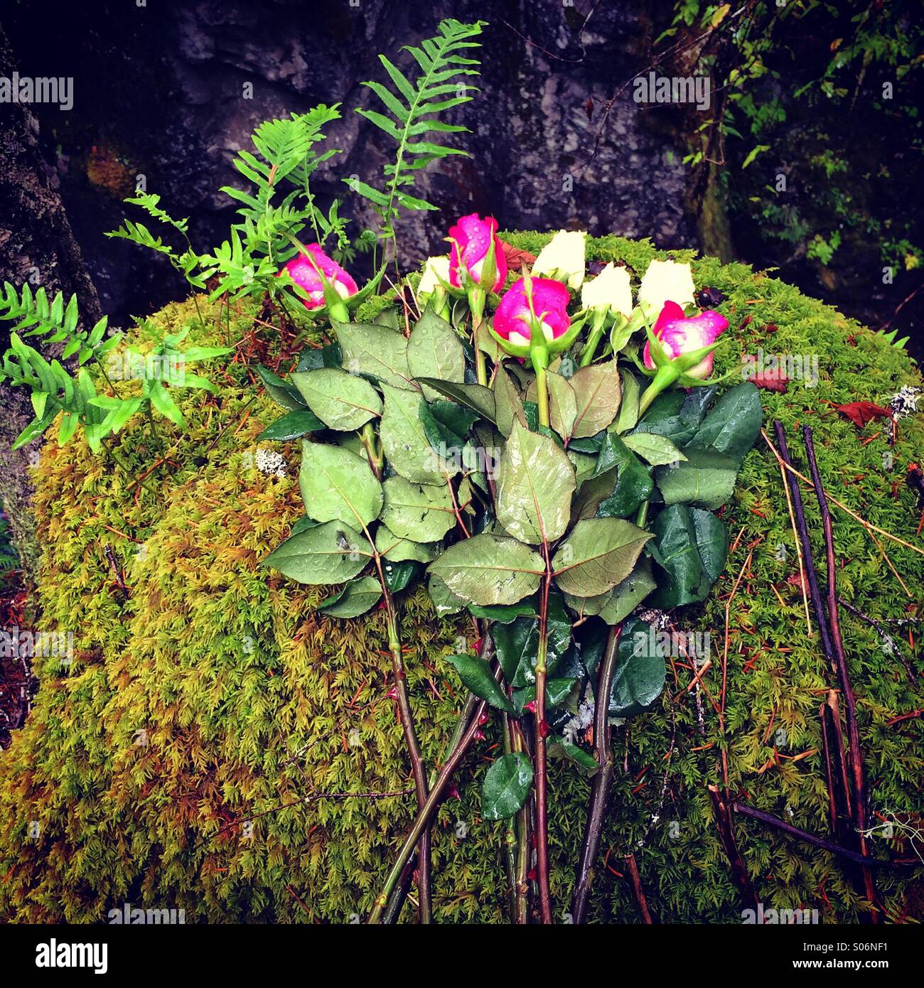 Memorial to accidental death, Little Qualicum Falls Provincial Park, Vancouver Island, Canada Stock Photo