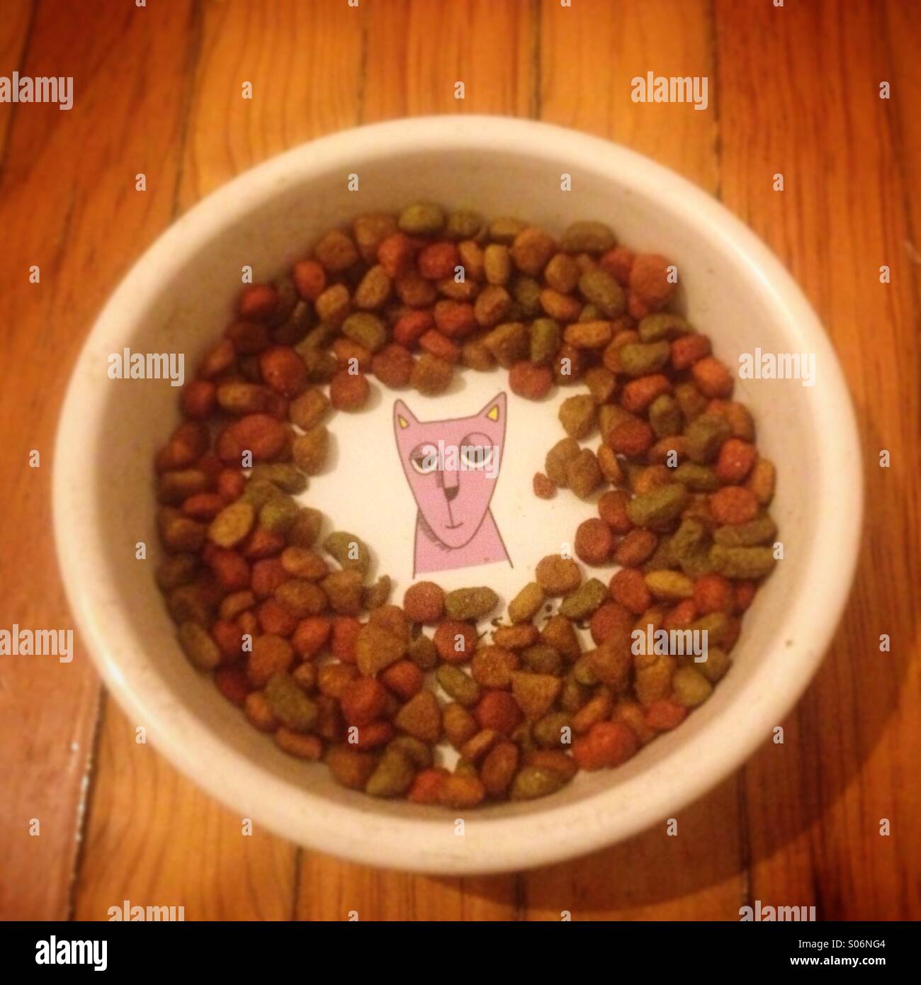 A bowl of cat's food decorated with a cat's head in Colonia Condesa, Mexico City, Mexico - Smartphone Captured Stock Image