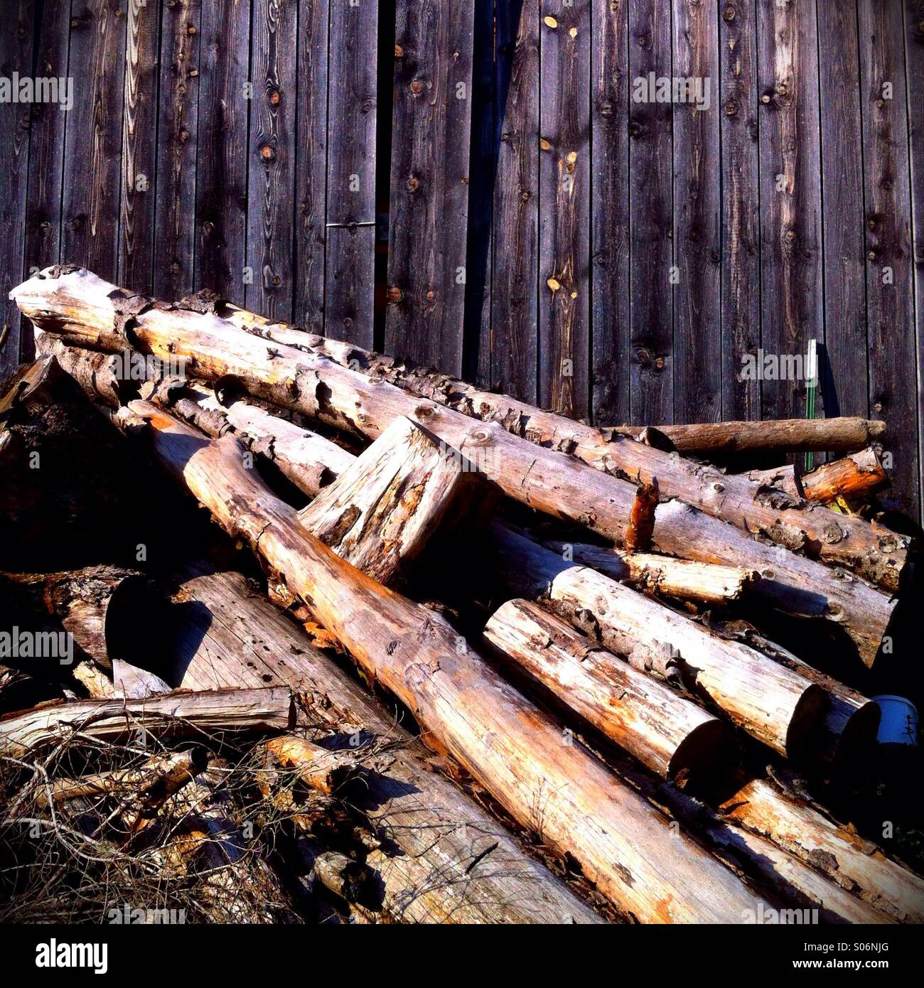 Timber - Smartphone Captured Stock Image