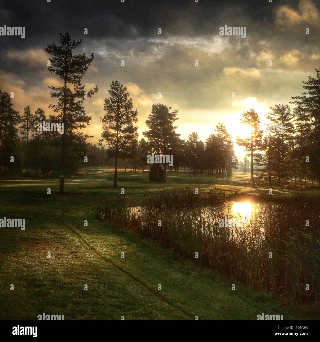 Early morning at the golf course Stock Photo - Alamy