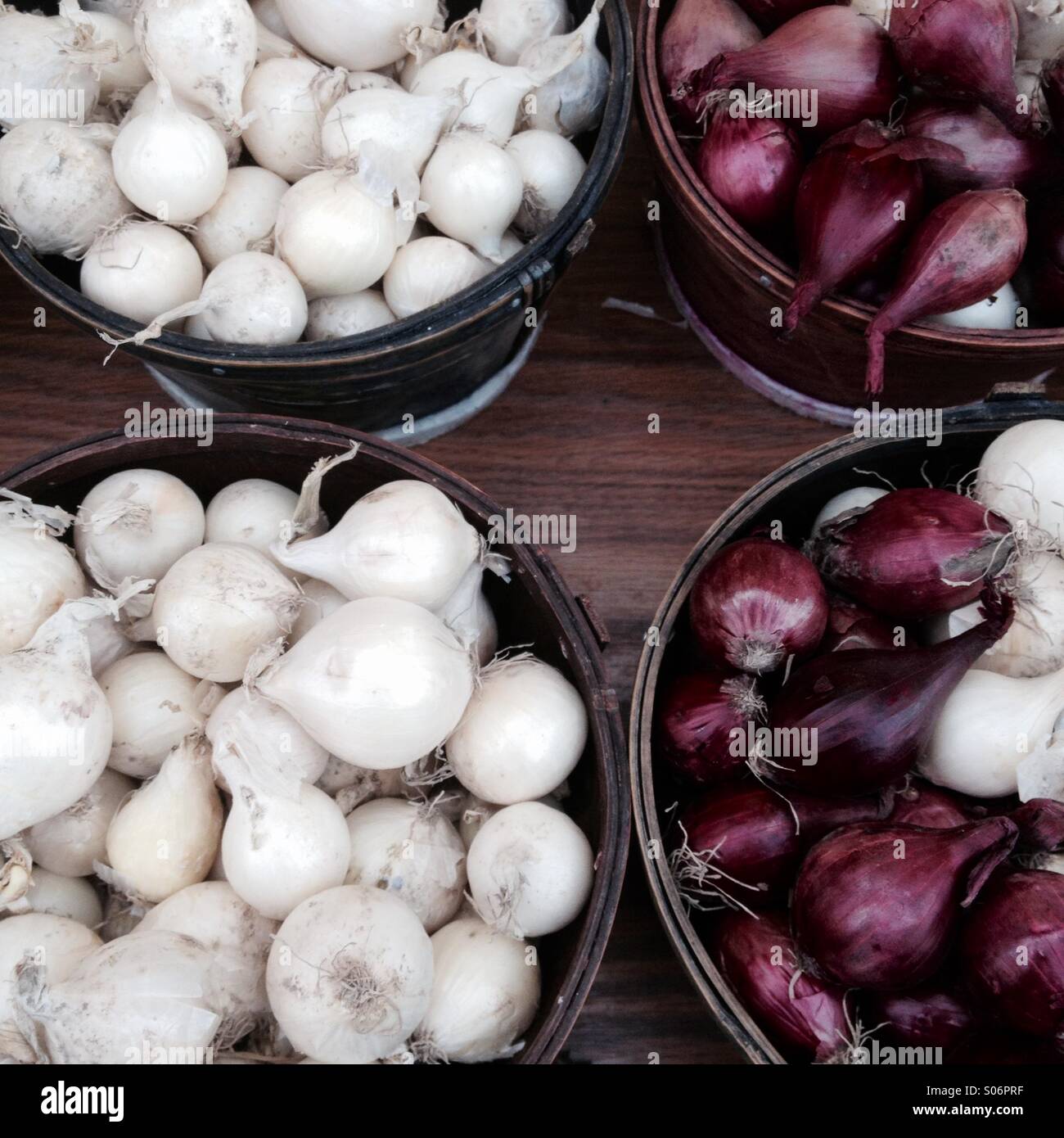 Onions - Smartphone Captured Stock Image