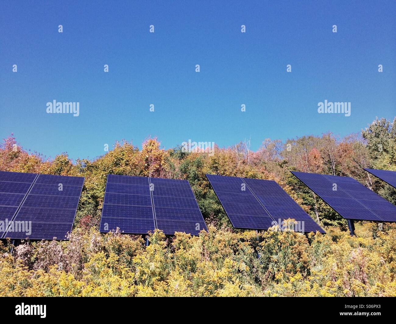 An array of solar panels on rural farmland in the Catskills, NY. Stock Photo