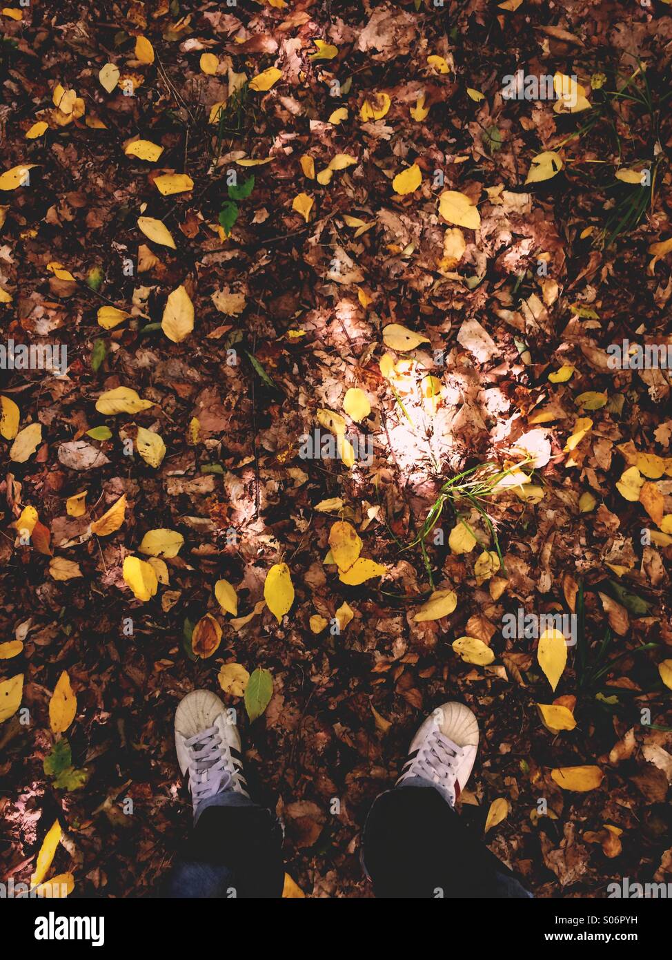 A man's feet standing in fall leaves at the start of autumn. Stock Photo