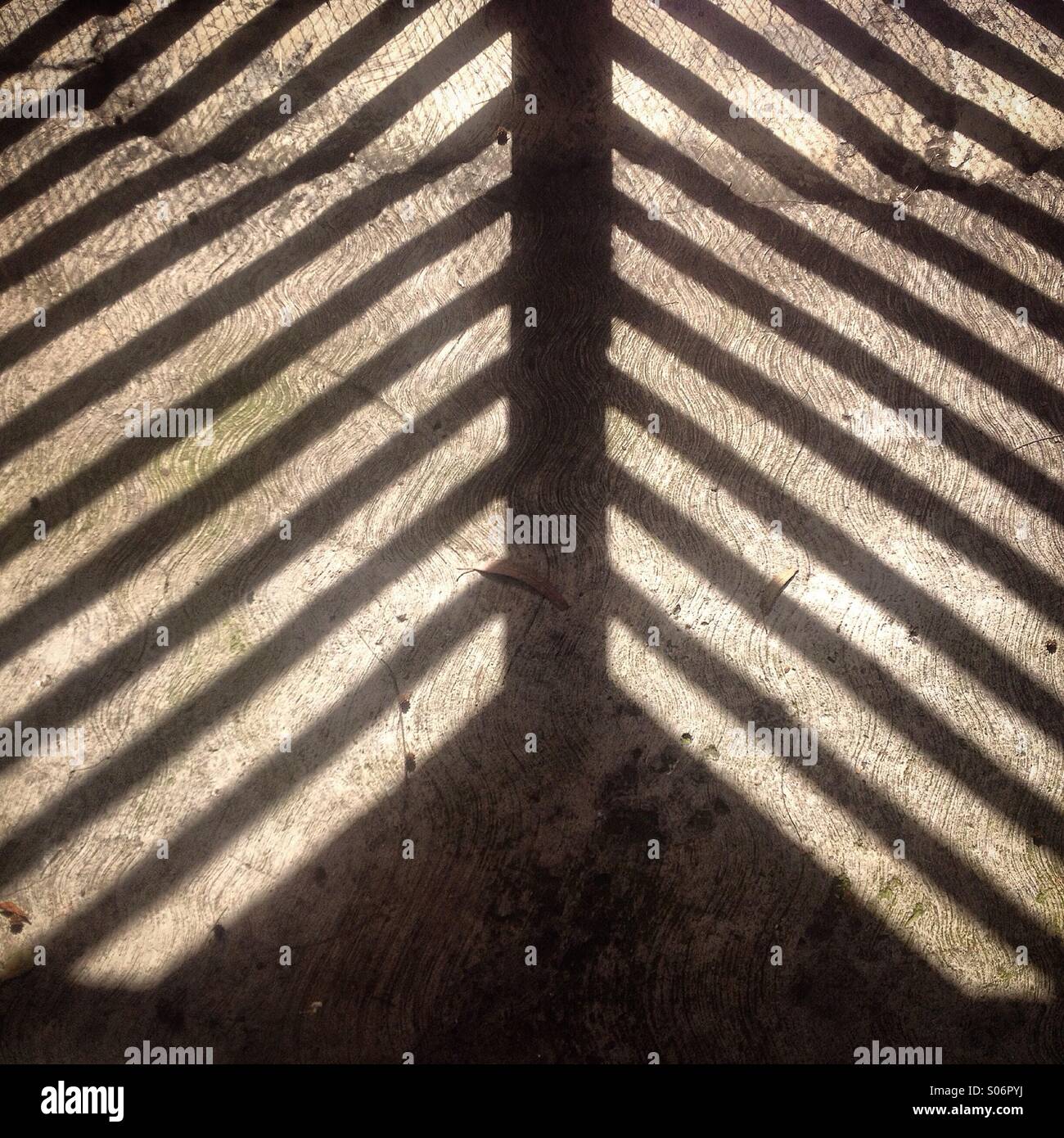 The shadow of a door is cast in a street in Colonia Condesa, Mexico City, Mexico - Smartphone Captured Stock Image