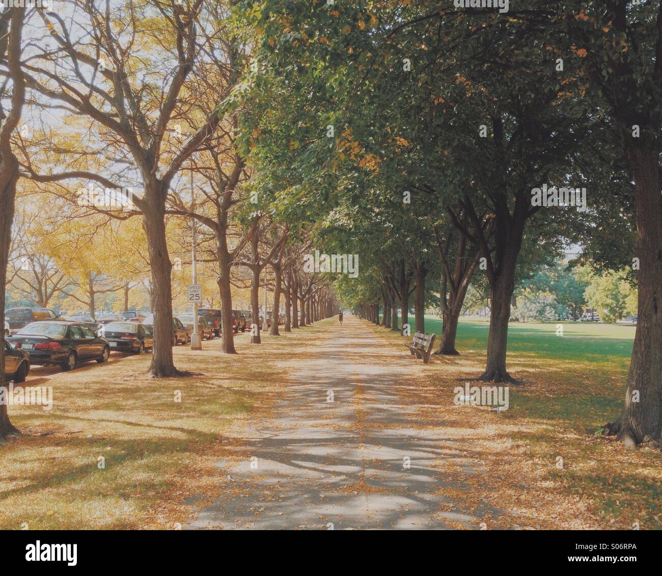 Midway Plaisance at The University of Chicago in the Hyde Park area of Chicago, IL, USA in early fall 2014. Stock Photo