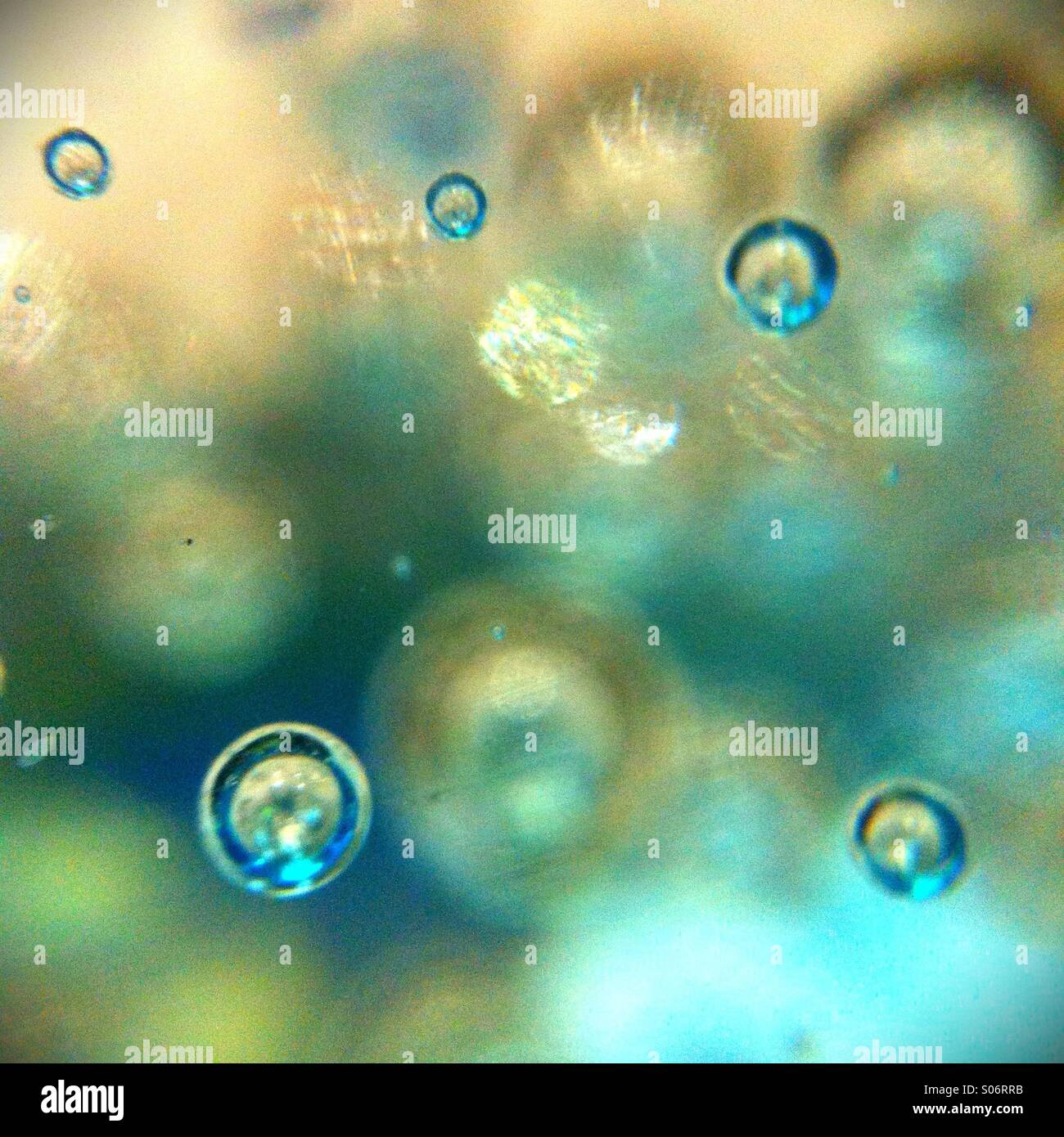 Micro - Smartphone Captured Stock Image