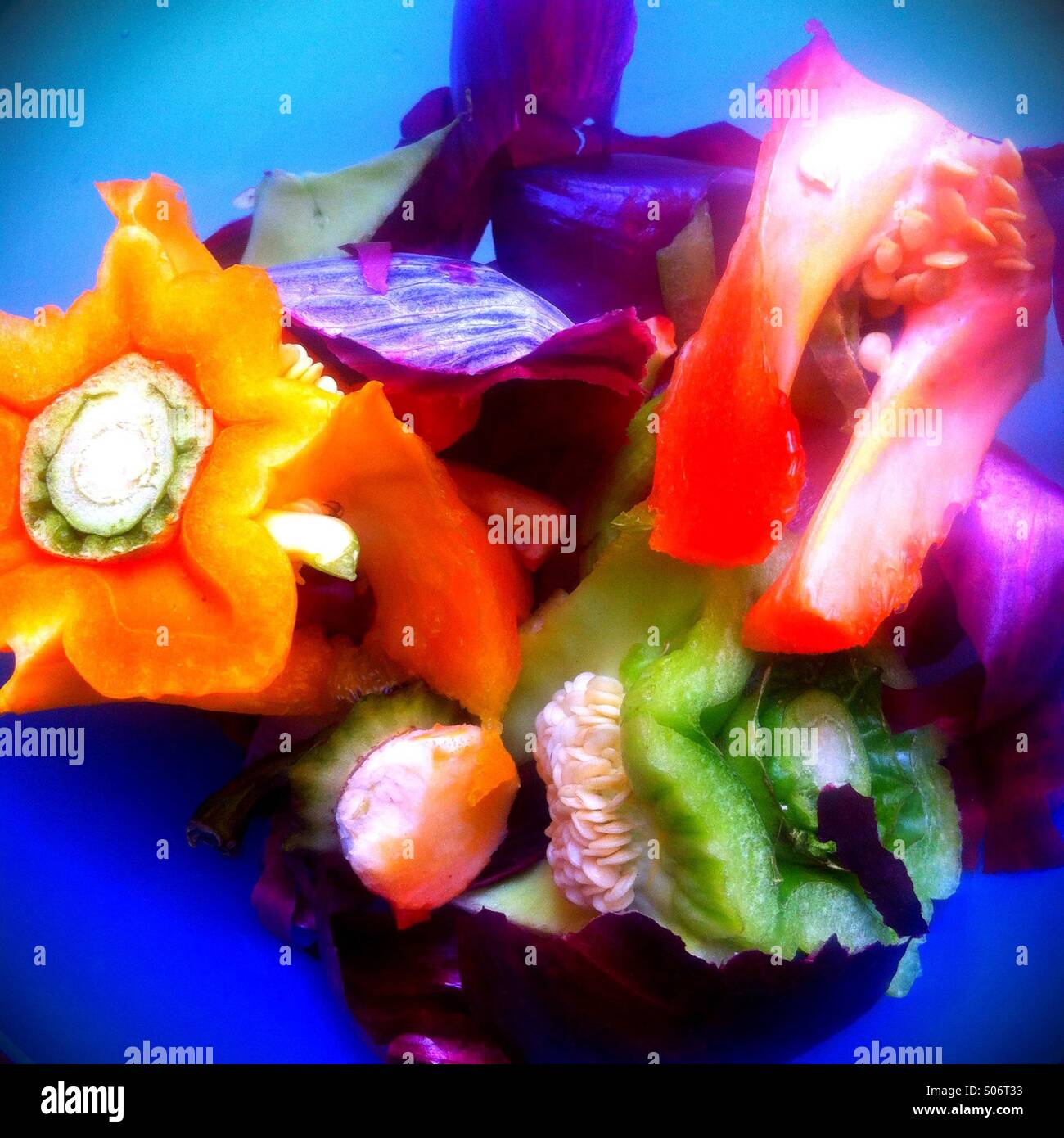 Recycling - Smartphone Captured Stock Image