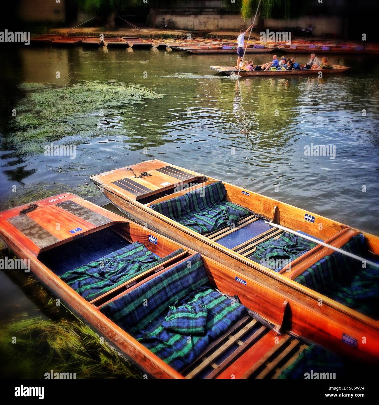 Cambridge, UK, River Cam riverside scene - Smartphone Captured Stock Image