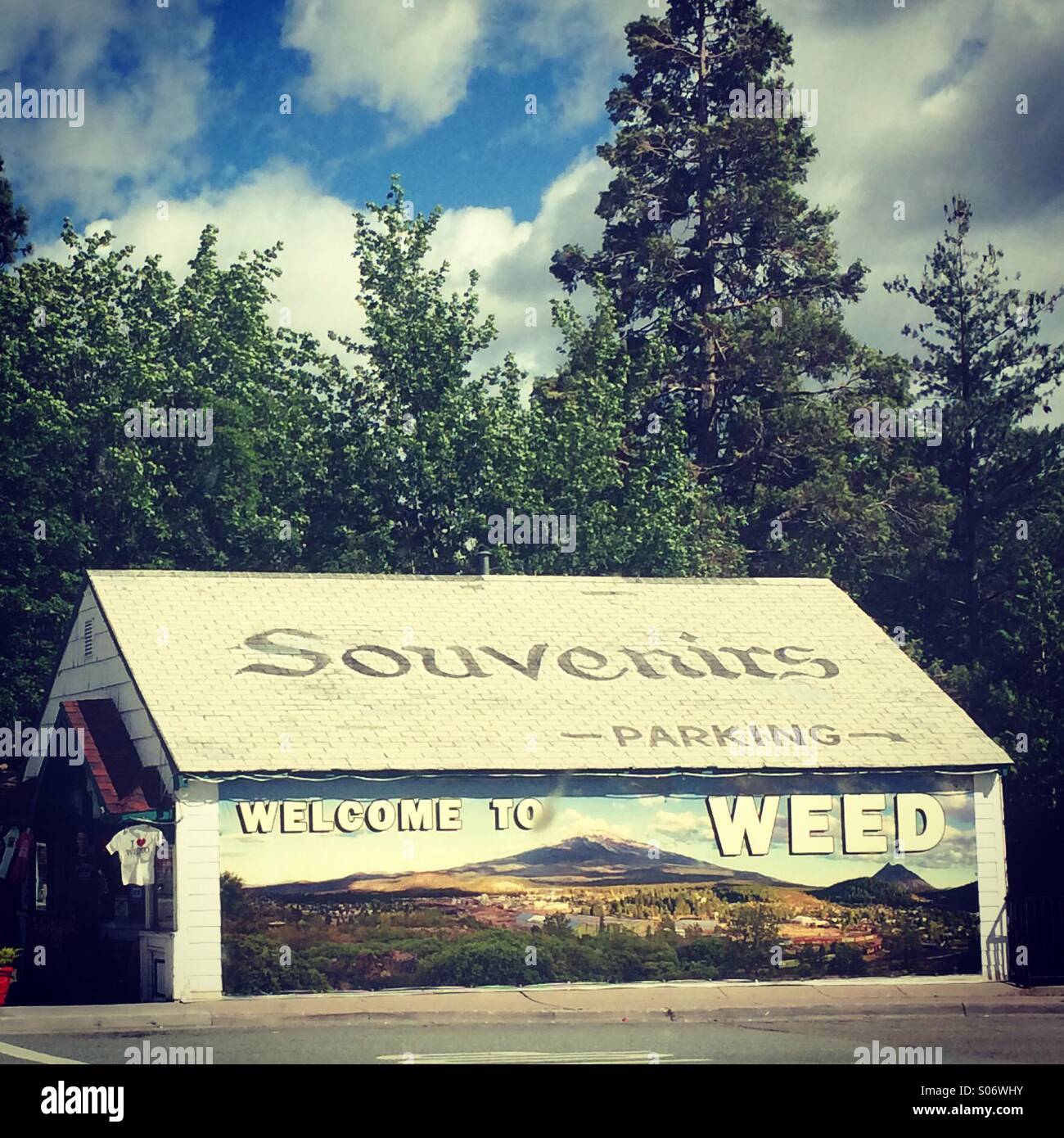 Souvenir shop in Weed CA - Smartphone Captured Stock Image