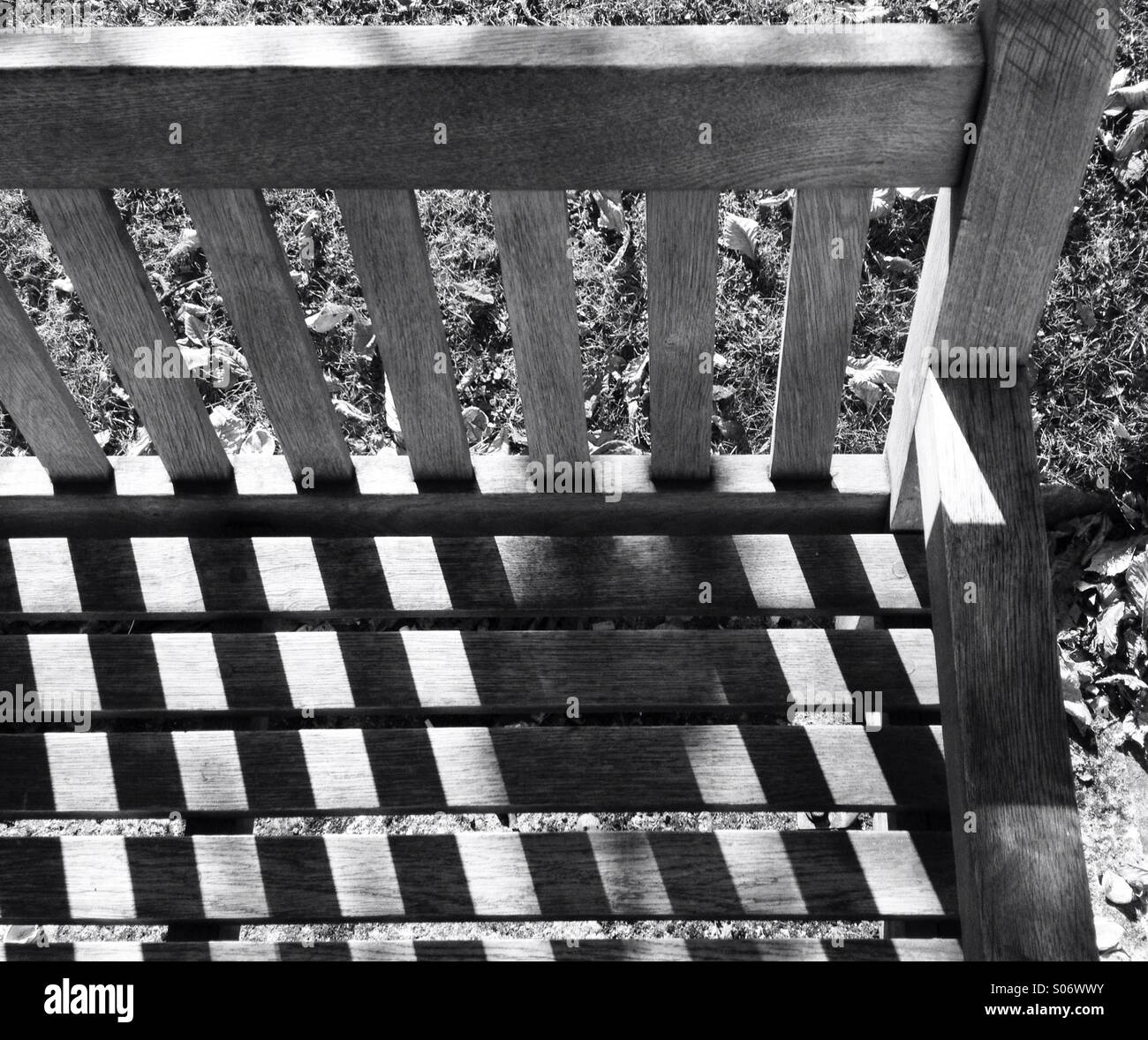 Wooden bench in the autumn sun - Smartphone Captured Stock Image