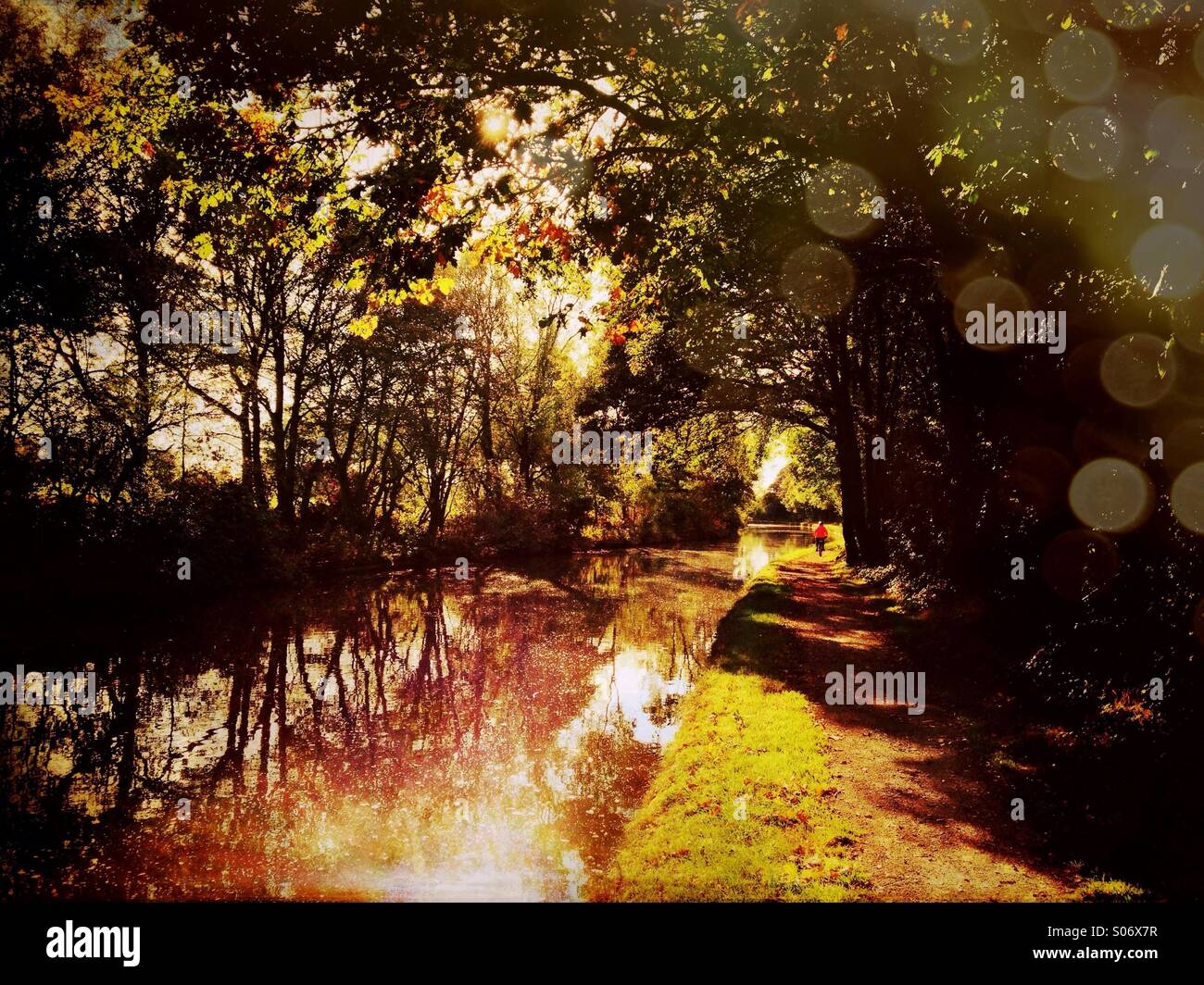 Cyclist on canal tow path in autumn light - Smartphone Captured Stock Image