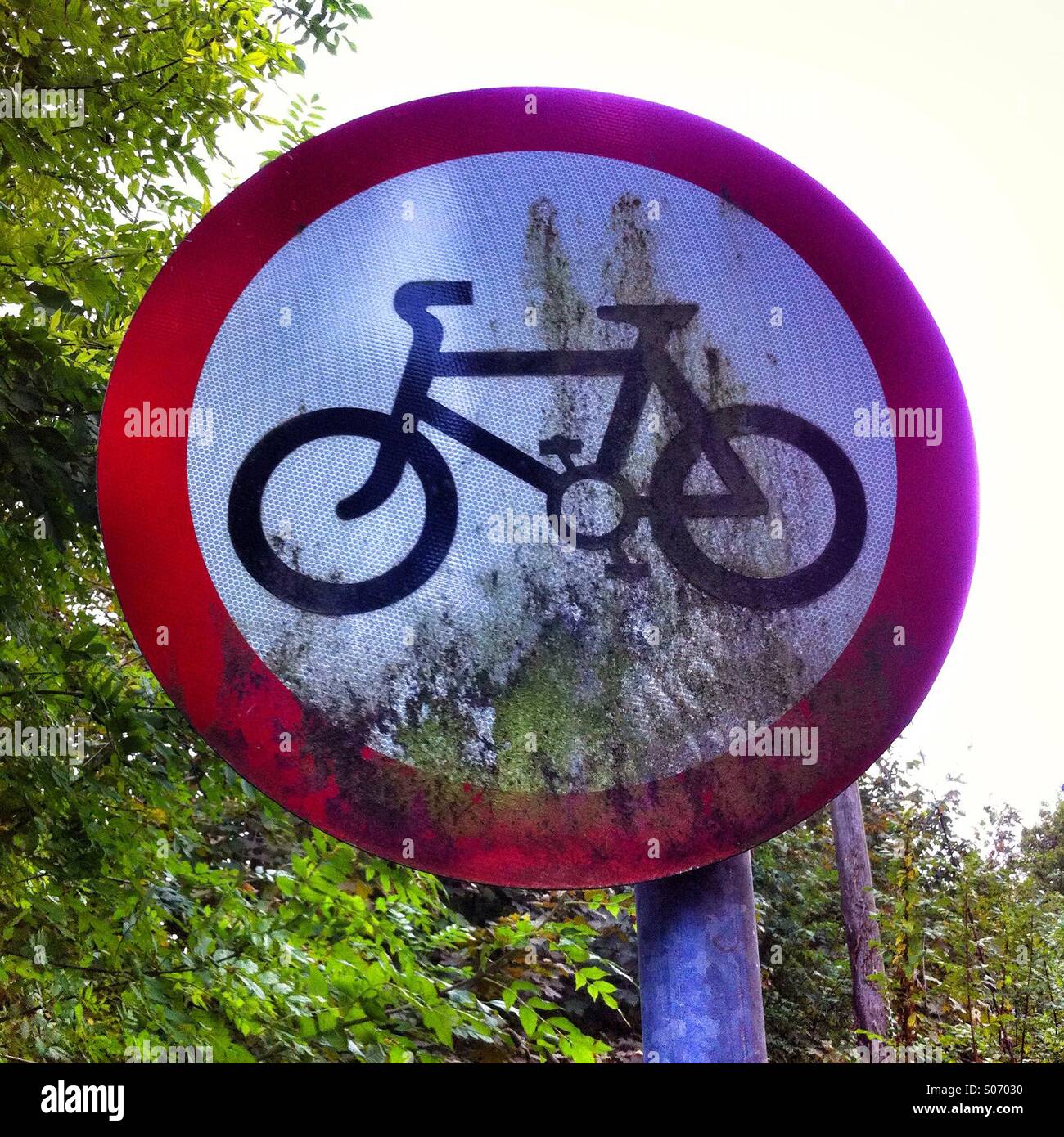 Bicycle prohibition sign covered in dirt near a wooded area during the day - Smartphone Captured Stock Image