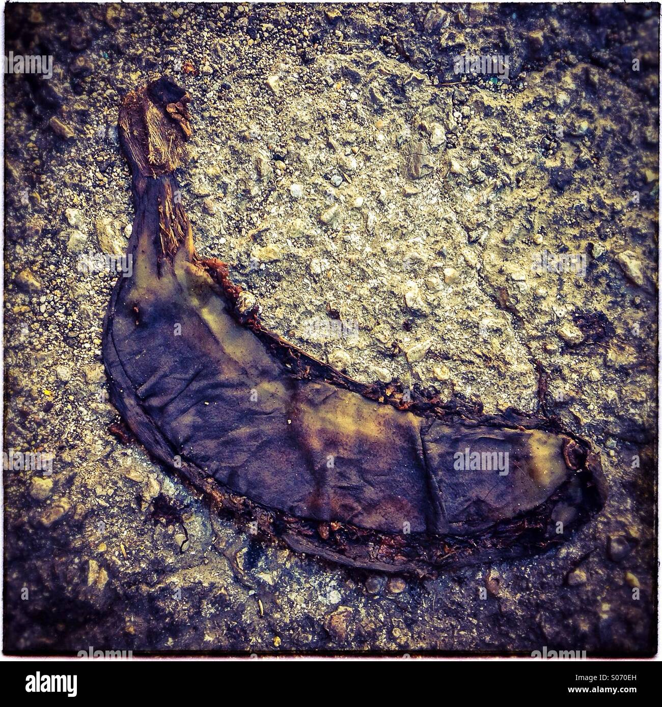 Banana peel skin on pavement - Smartphone Captured Stock Image