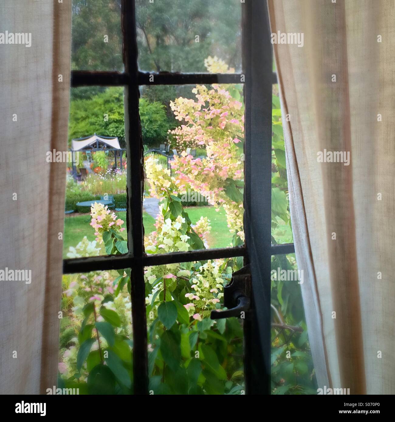 View of garden from window Stock Photo