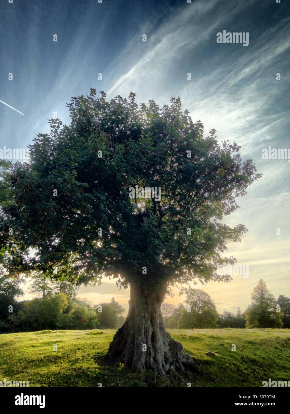 Dramatic image hi-res stock photography and images - Alamy