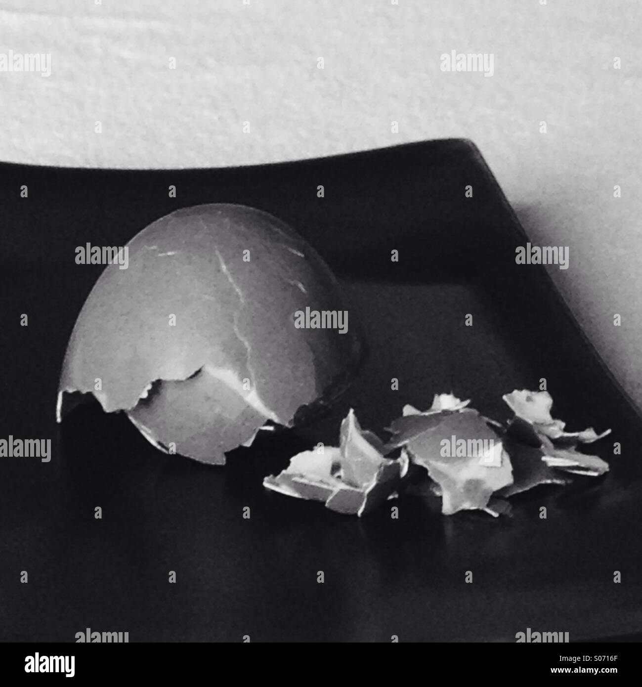 Egg shell - Smartphone Captured Stock Image