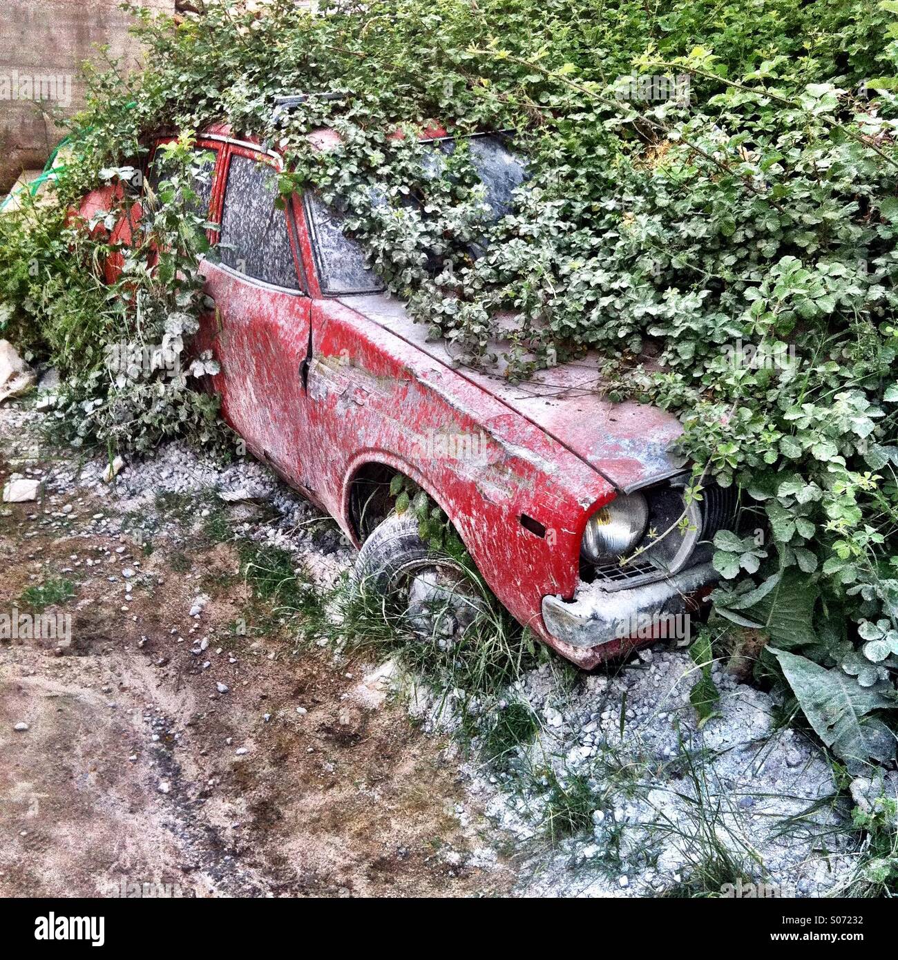Car in a bush Stock Photo