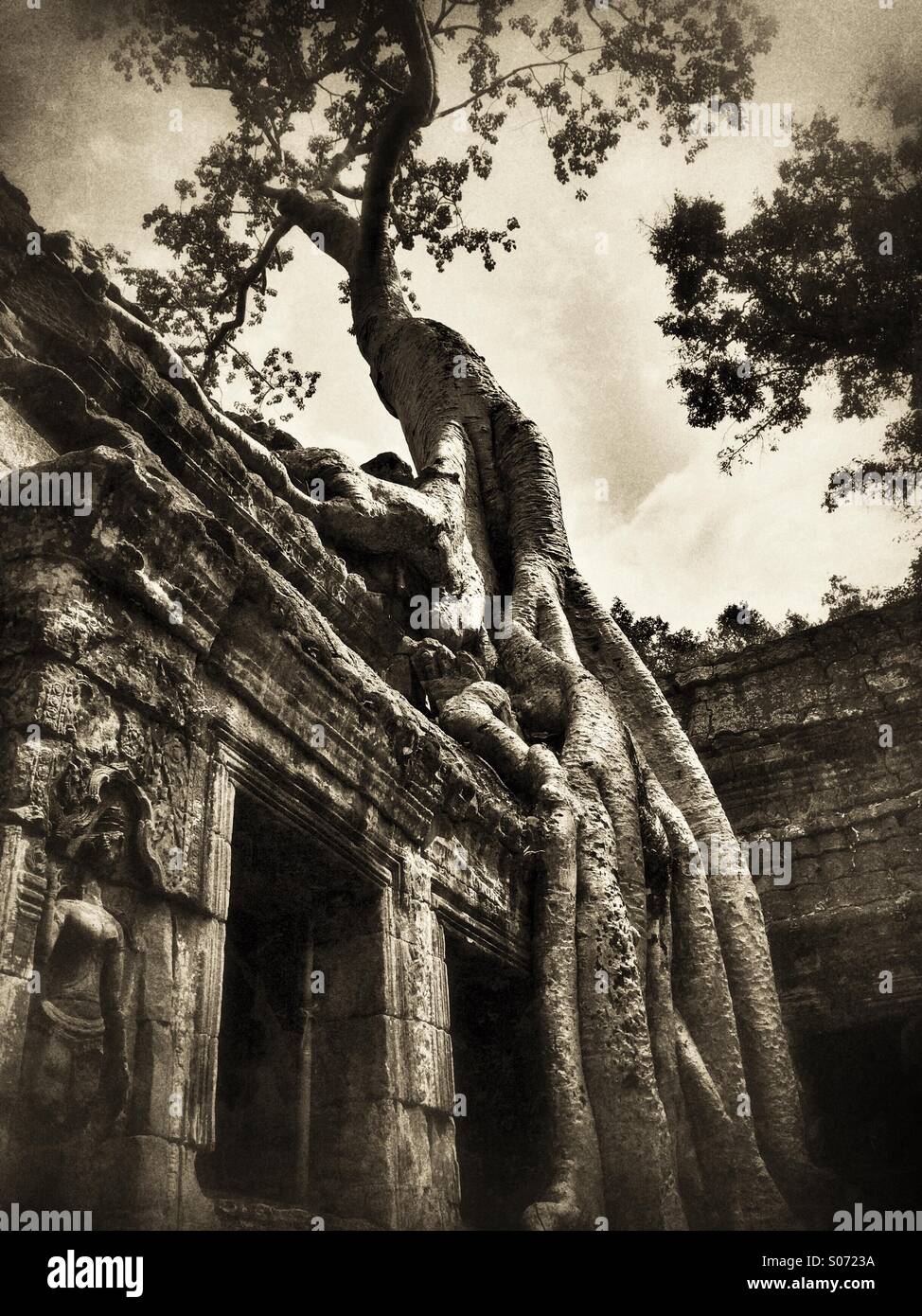 Ta Prohm temple Cambodia, location of Lara Croft Tomb Raider movie - Smartphone Captured Stock Image