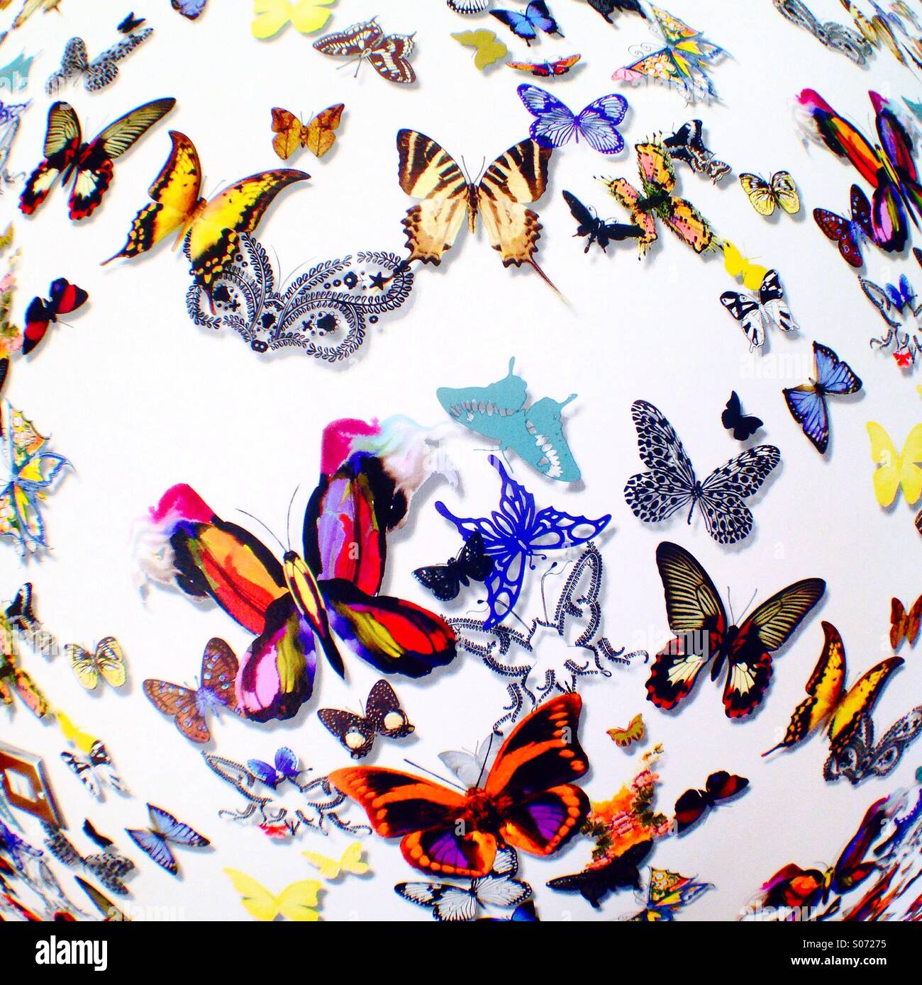Butterfly wallpaper hi-res stock photography and images - Alamy