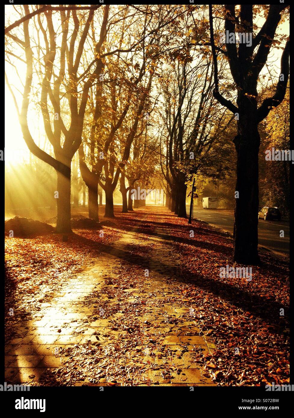Autumn morning sun Stock Photo