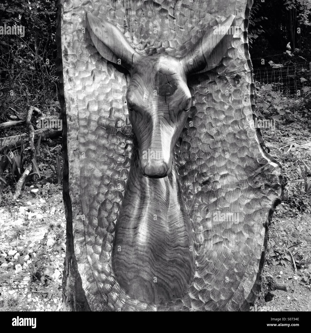 Wooden dear, carved from a tree stump in the forest - Smartphone Captured Stock Image