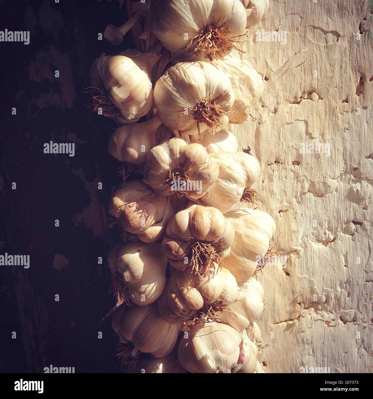 Braid of garlic Stock Photo