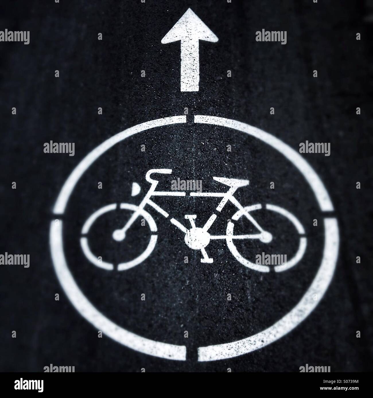 Bicycle and up arrow forward sign on asphalt Stock Photo