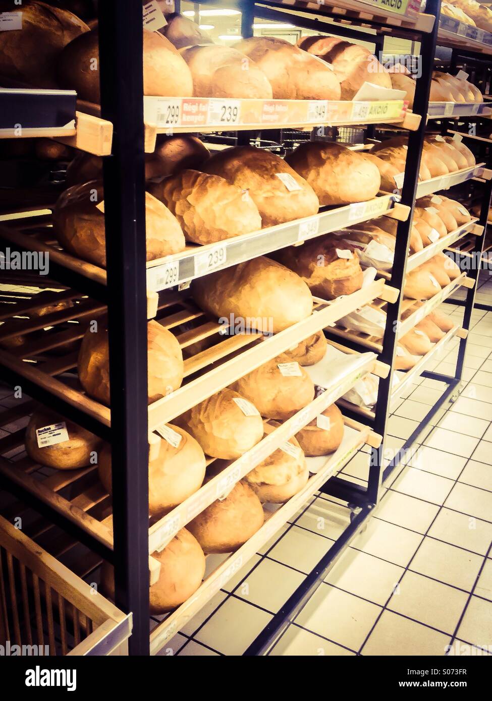 https://c8.alamy.com/comp/S073FR/loaves-of-freshly-baked-bread-lined-up-at-the-bakery-ready-for-the-S073FR.jpg