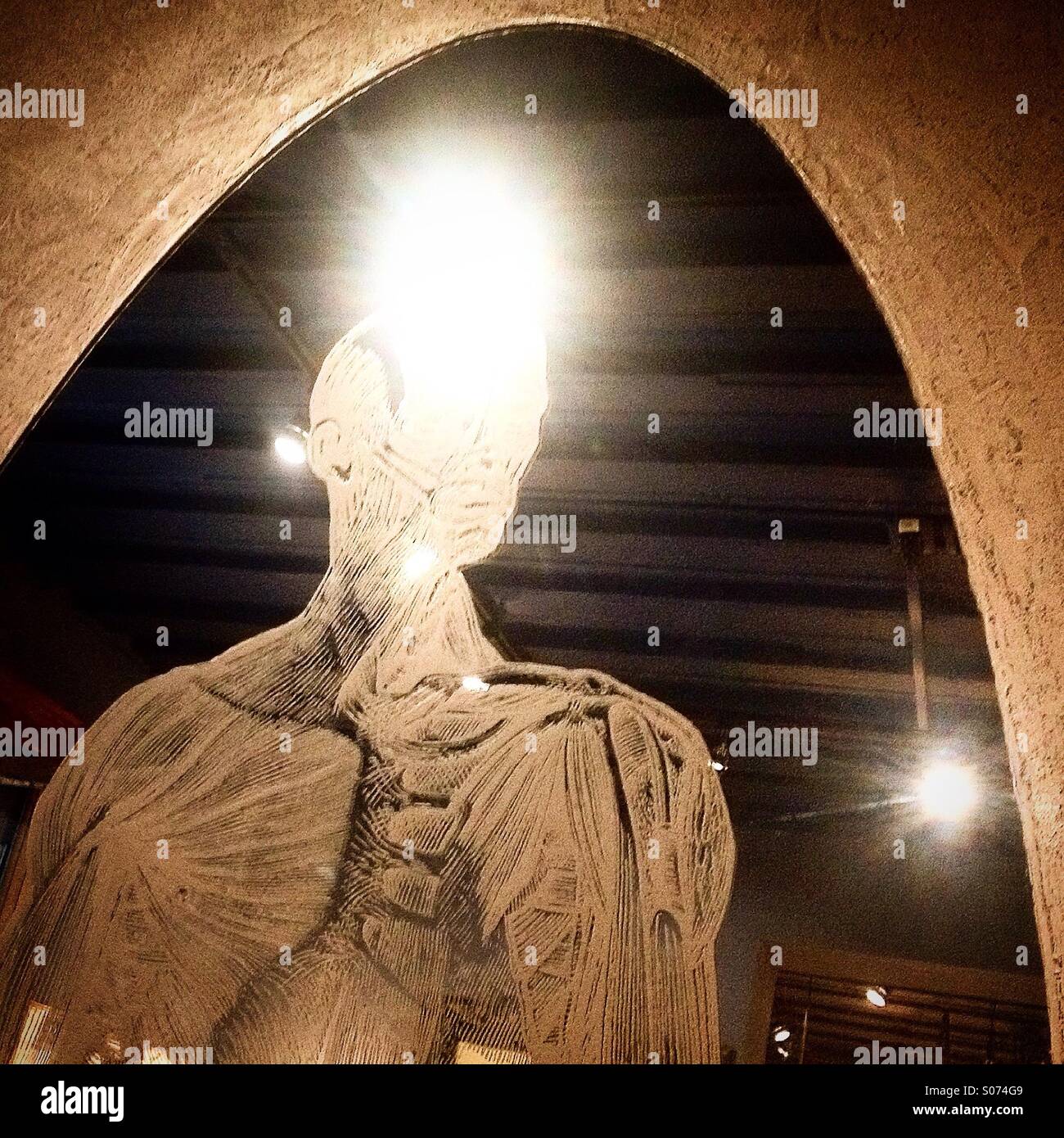 A light reflects in a mirror decorated with an image of the human body anatomy in Camino Silvestre shop in Colonia Roma, Mexico City, Mexico - Smartphone Captured Stock Image