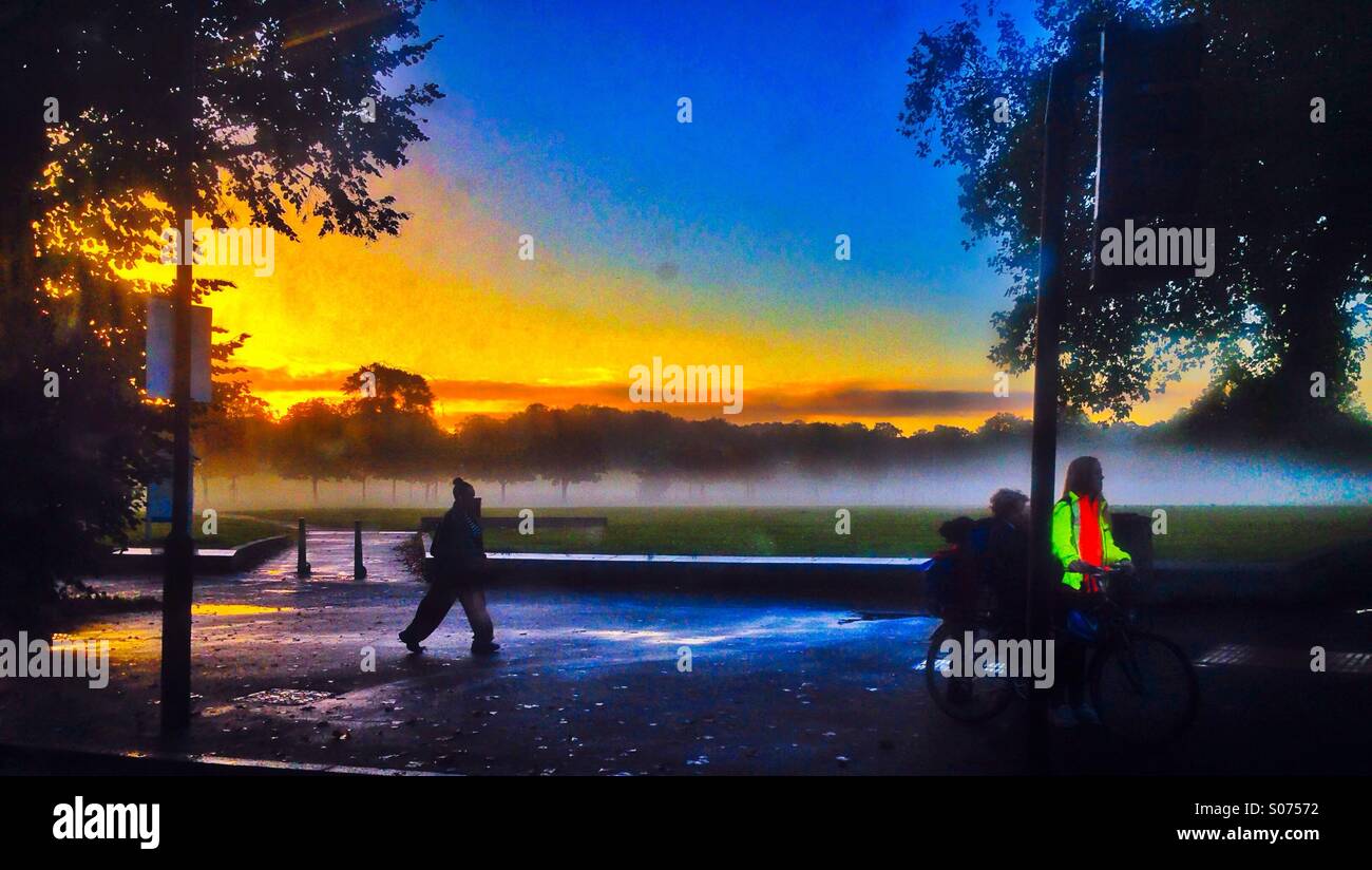 A misty morning on Peckham Rye park - Smartphone Captured Stock Image