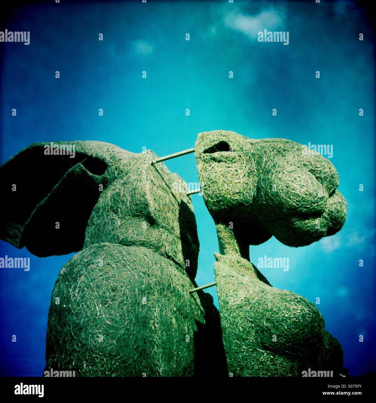 Sophie Ryder sculpture called Sitting at Yorkshire Sculpture Park in England UK - Smartphone Captured Stock Image