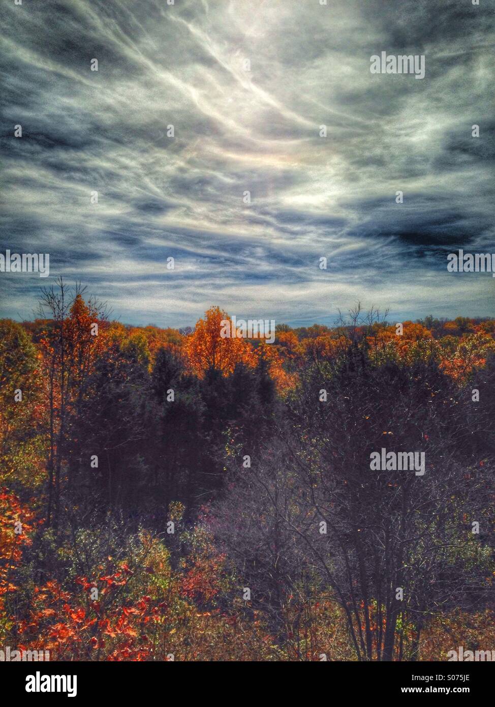 The sun breaking through the clouds on a fall day. - Smartphone Captured Stock Image