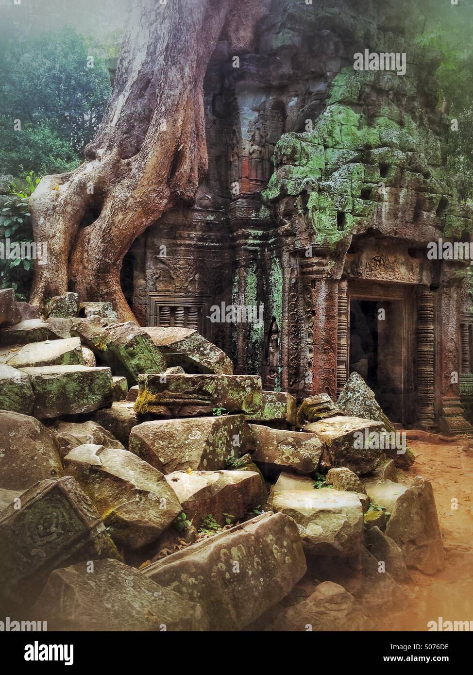 Ta Prohm Temple In Siem Reap Cambodia Location Of Lara Croft