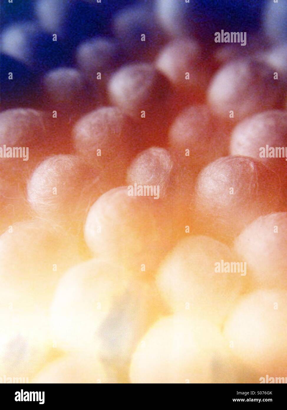 Close up of cotton buds - Smartphone Captured Stock Image