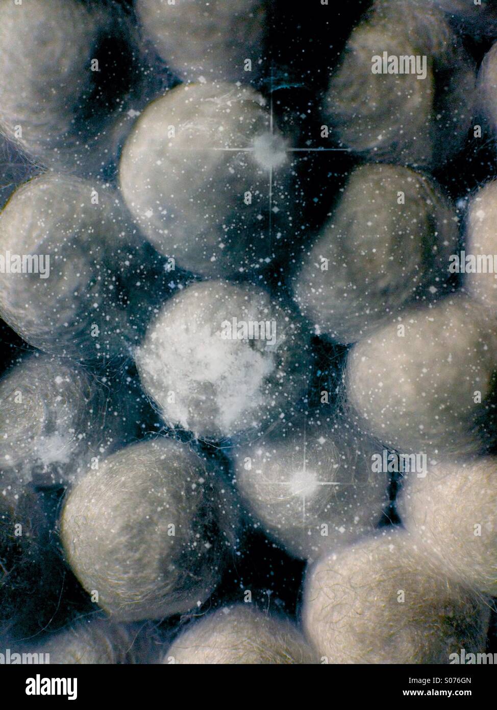 Close up of cotton buds - Smartphone Captured Stock Image