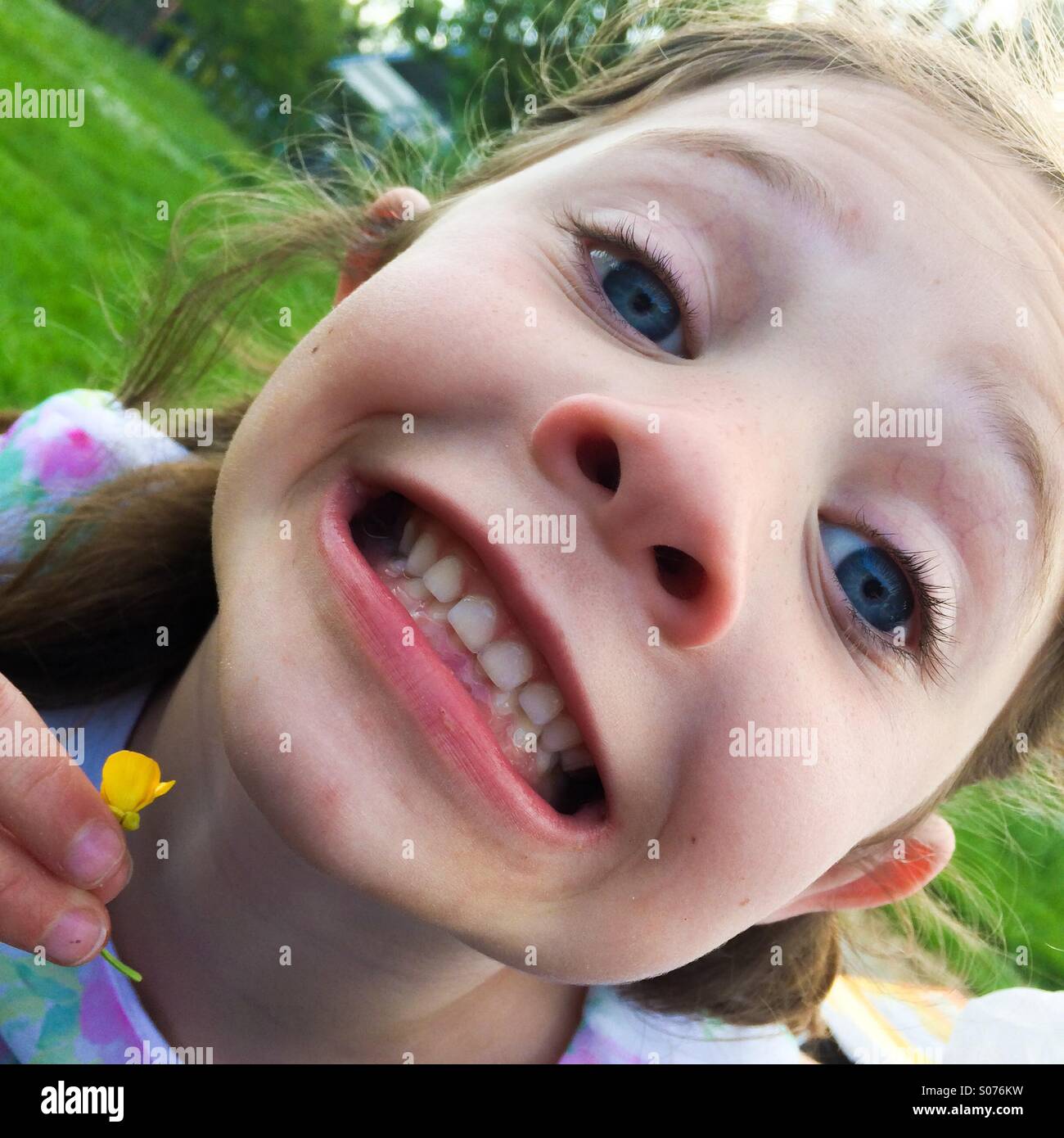Five year d hi with buttercup under her chin Stock Photo Alamy