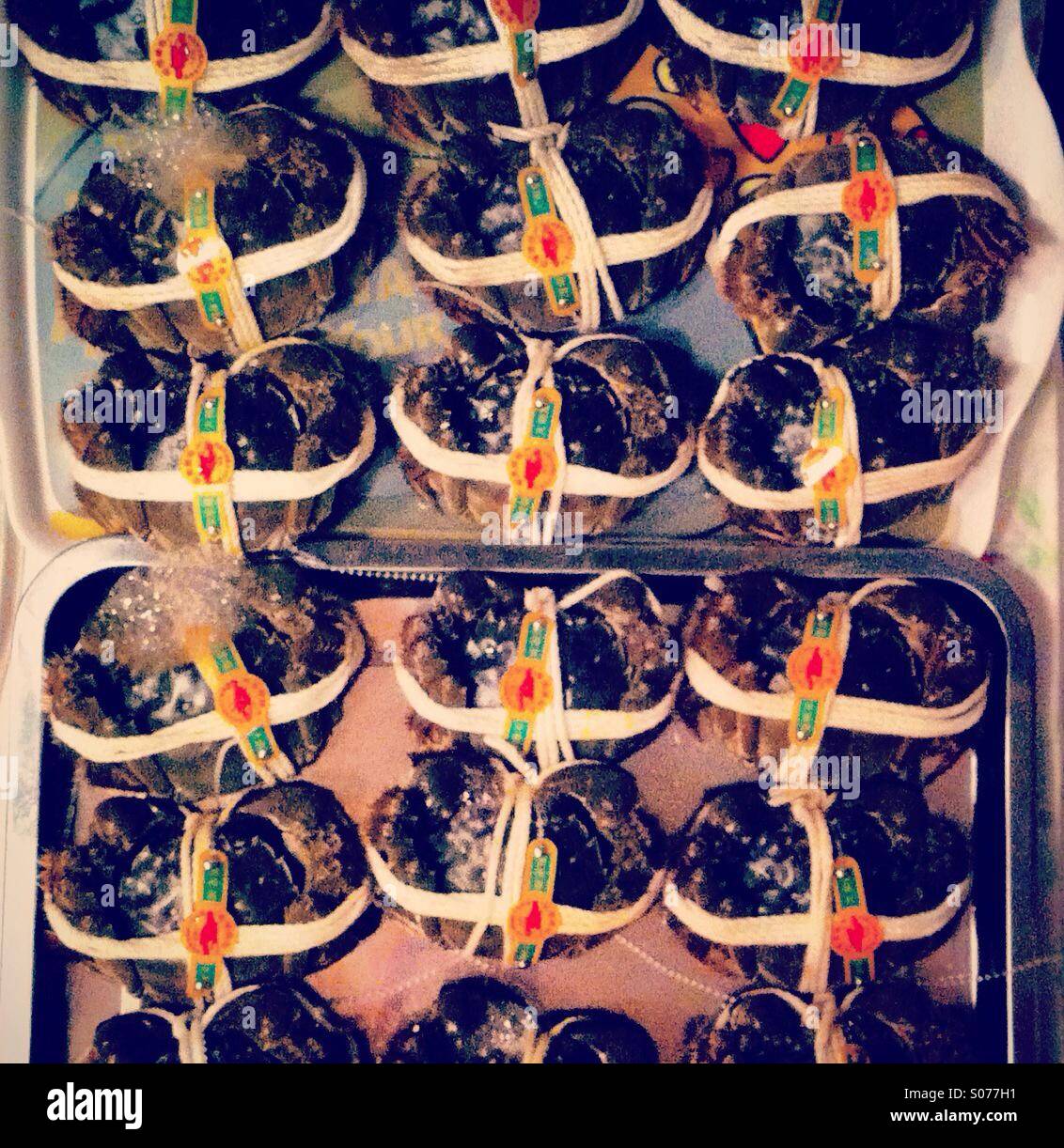 It's a large trail full of hairy crabsr ready to be cooked in Hong Kong - Smartphone Captured Stock Image