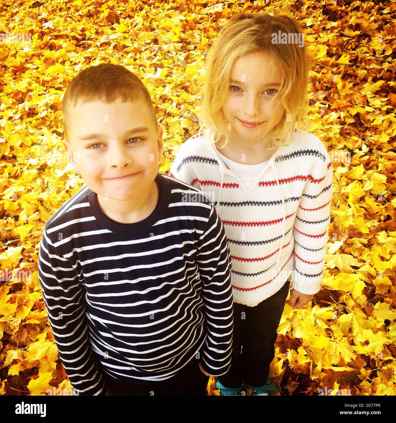 A cute brother and sister in a field of golden yellow autumn fall leaves Stock Photo